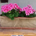 Maison Des Abeilles Vda N 0028 * Грессан
