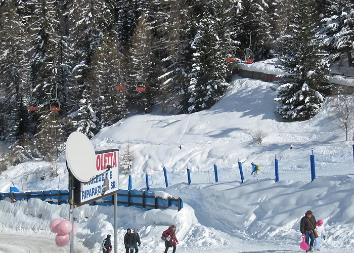 Maison Des Abeilles Vda N 0028 *