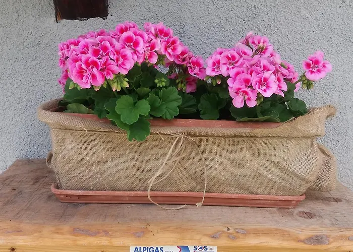 Maison Des Abeilles Vda N 0028 * Gressan